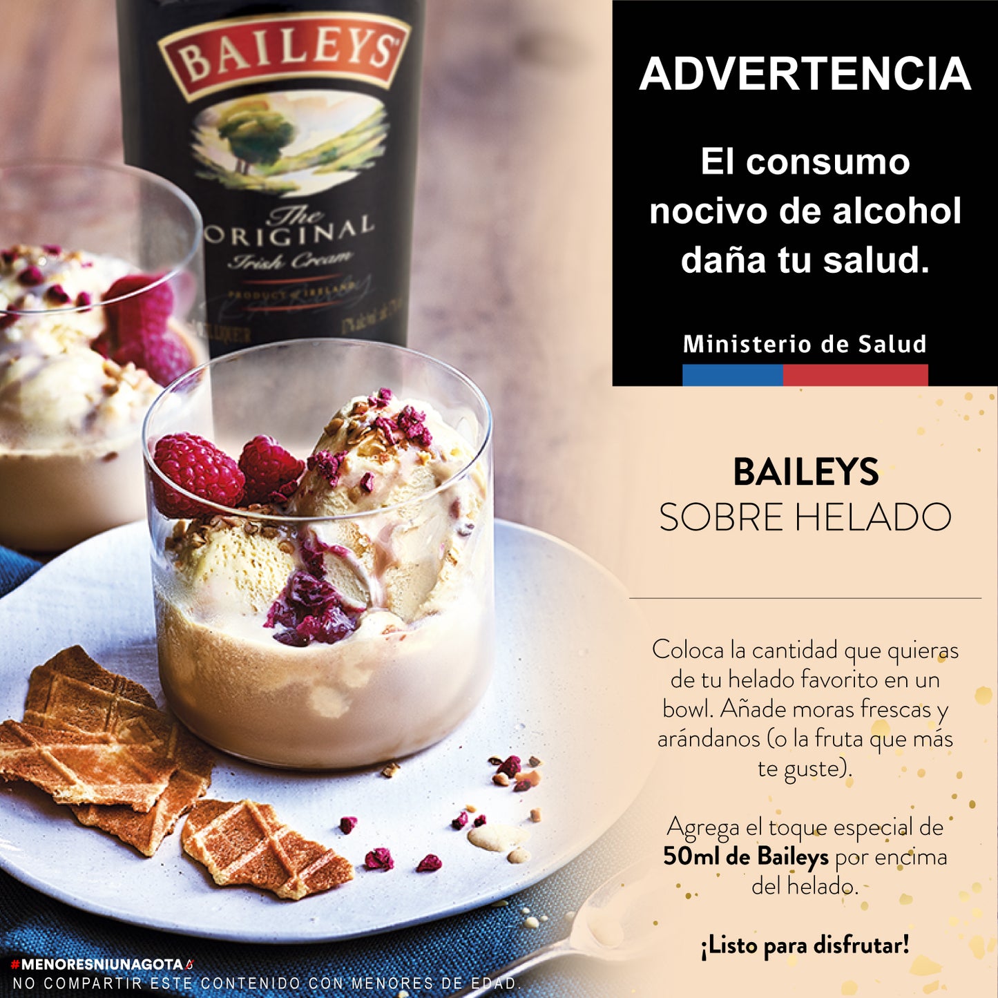 BAILEYS Original LATA 750 cc
