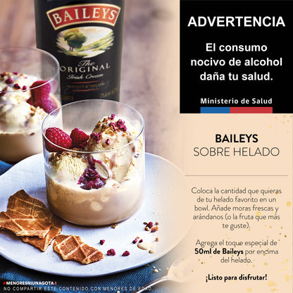 Baileys Orig 75cl con alarm 12X01-W