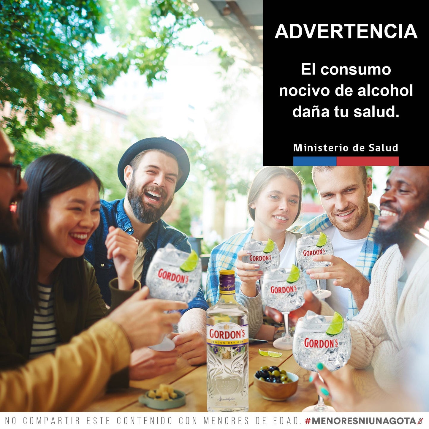 Gordons Dry Gin 75cl 12X01 (5012)