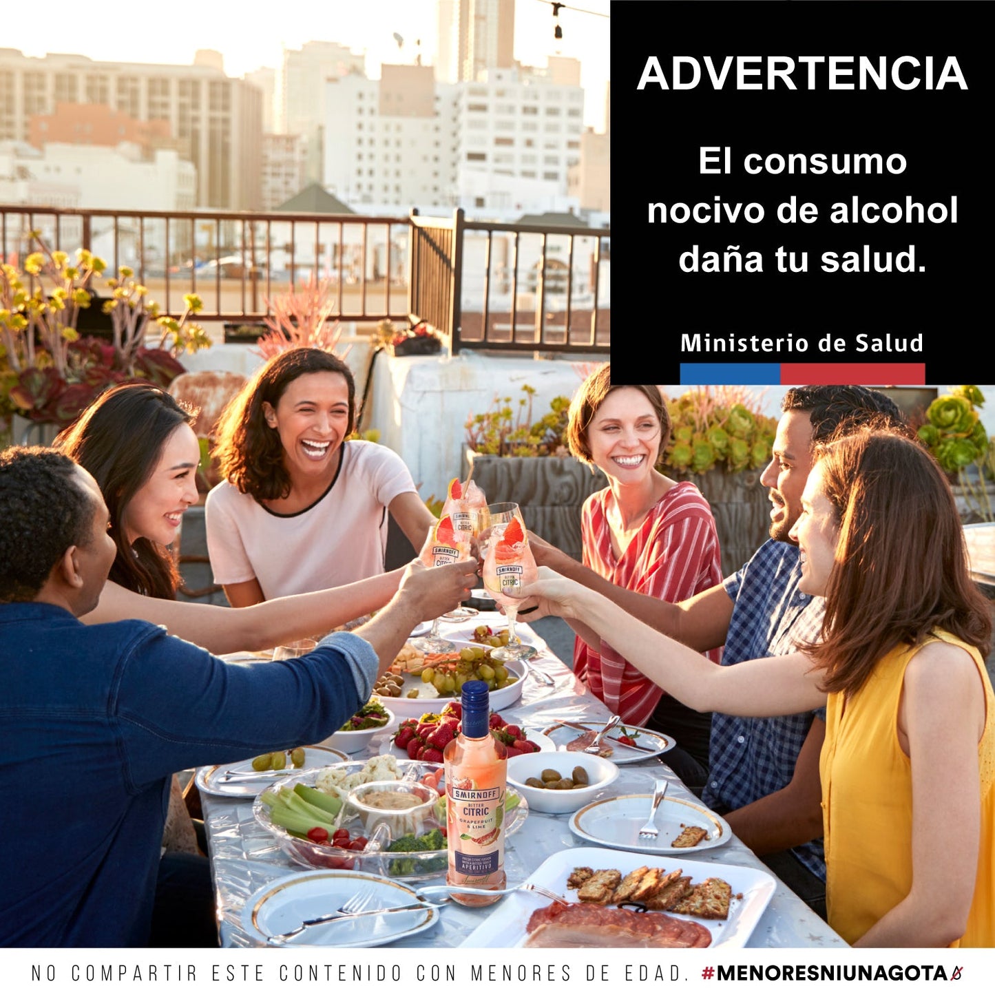 Smirnoff Bitter Citric 700 cc (5012)